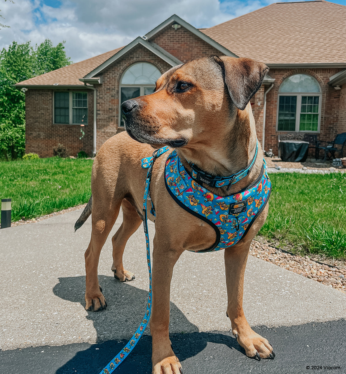 Dog Leash - Nickelodeon CatDog™