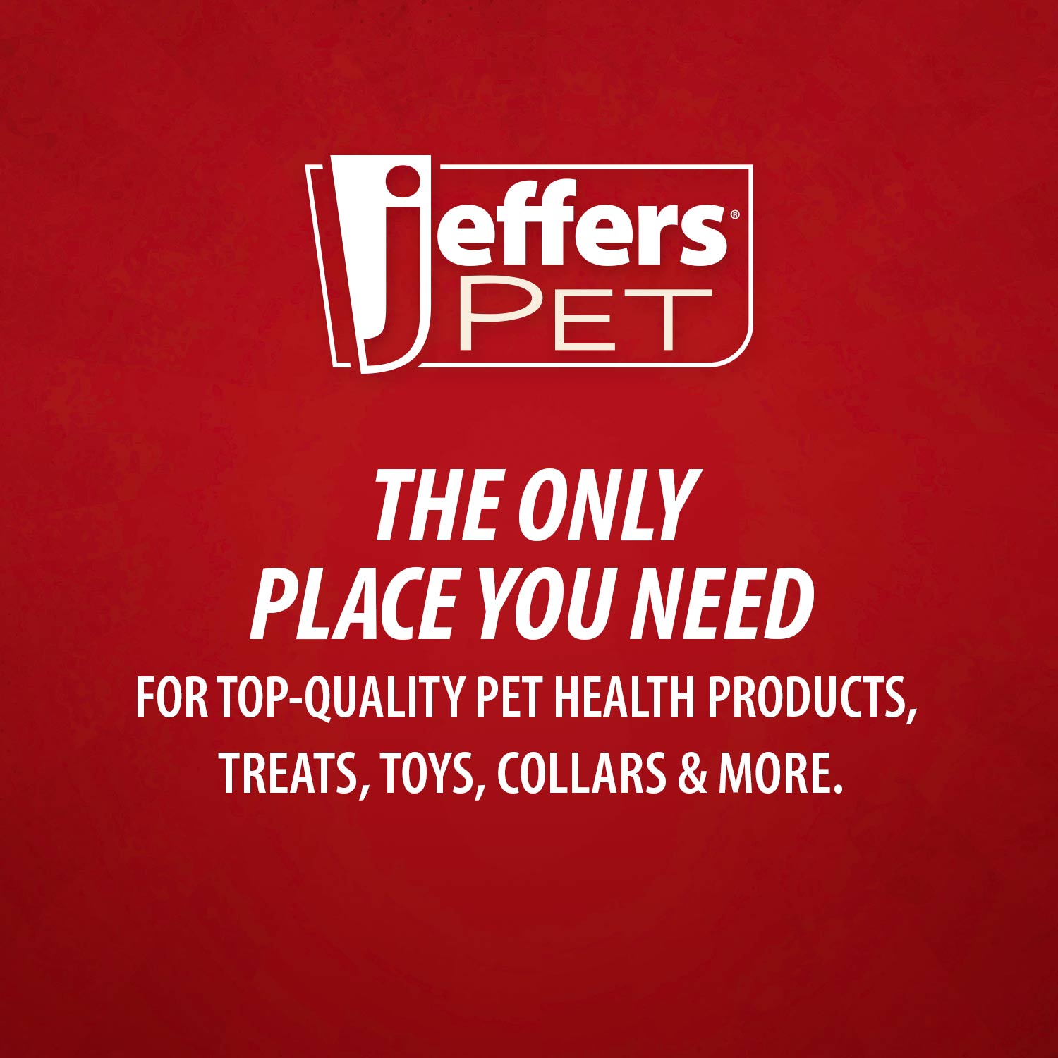 Jeffers Pet Nail File for Dog and Cat Nail Grooming, 7"L