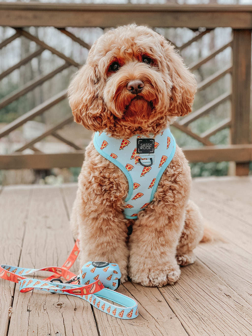 Dog Leash - One Hot Pupperoni