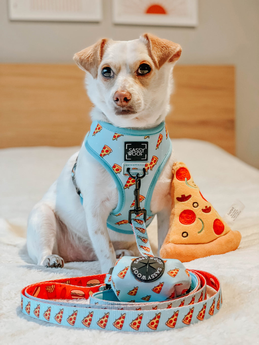 Dog Leash - One Hot Pupperoni