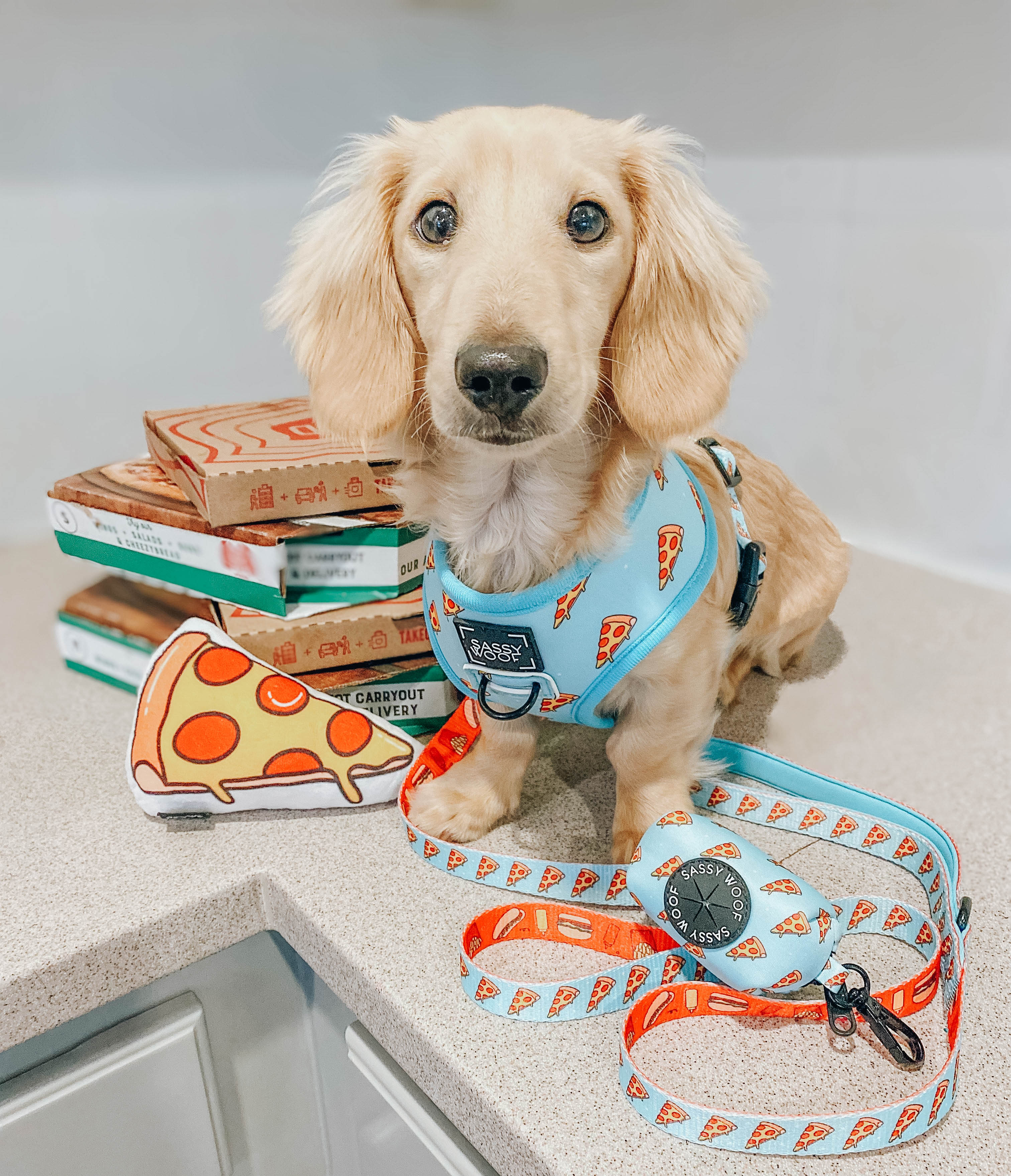 Dog Leash - One Hot Pupperoni