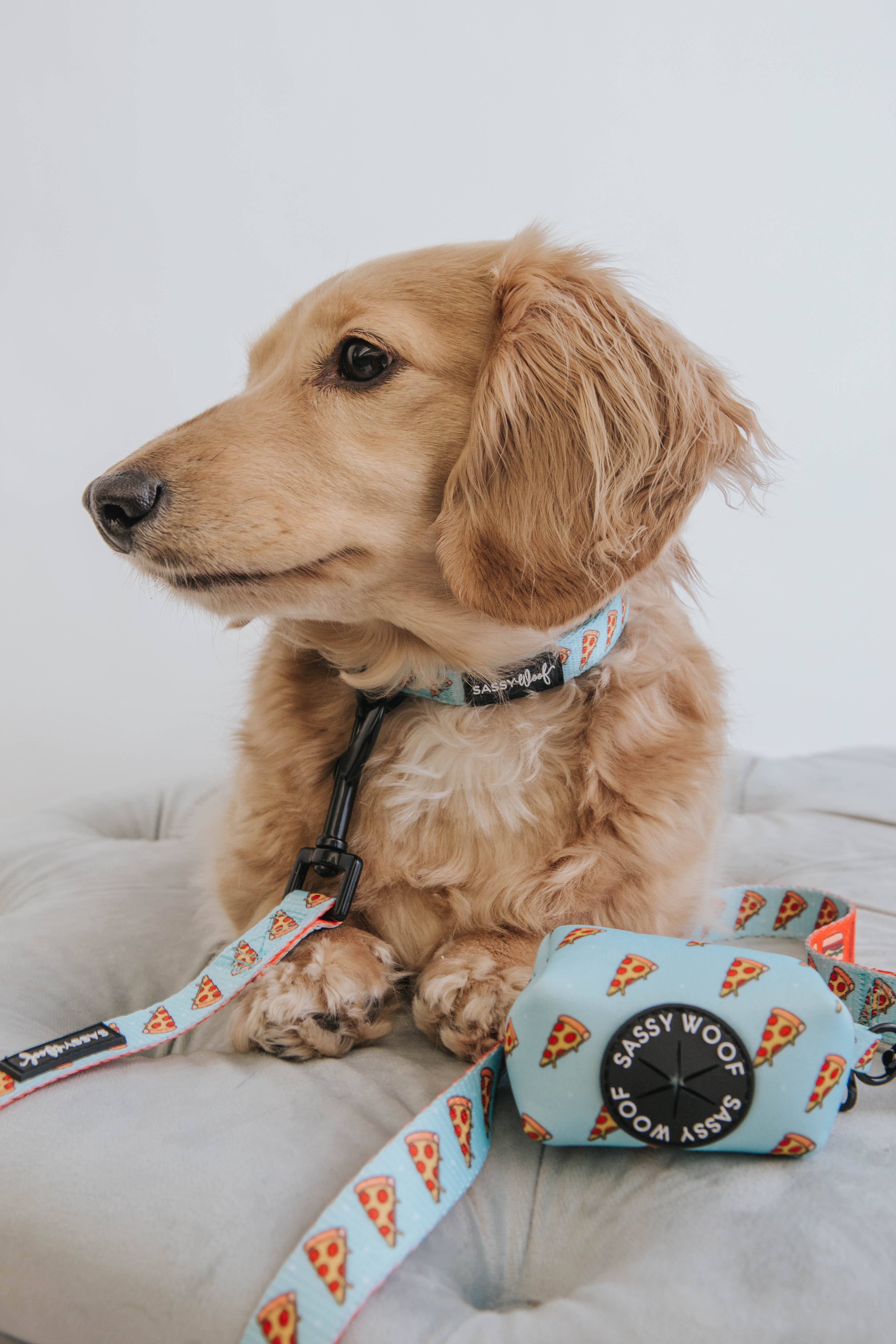 Dog Leash - One Hot Pupperoni